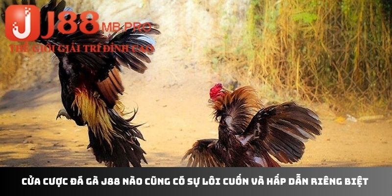 Cửa cược đá gà J88 nào cũng có sự lôi cuốn và hấp dẫn riêng biệt 