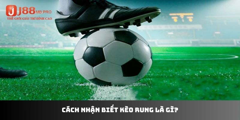 Cách nhận biết kèo rung là gì?